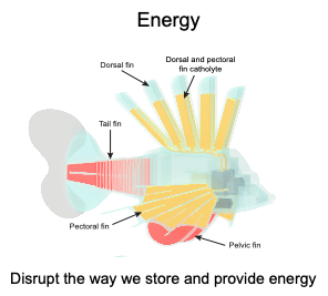 Radical Energy Storage