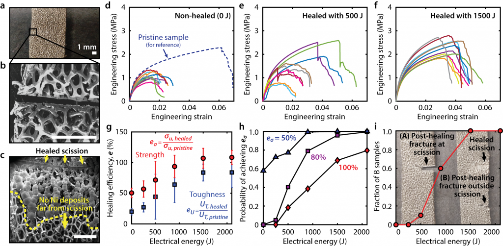 Healing of cellular nickel with scission damage