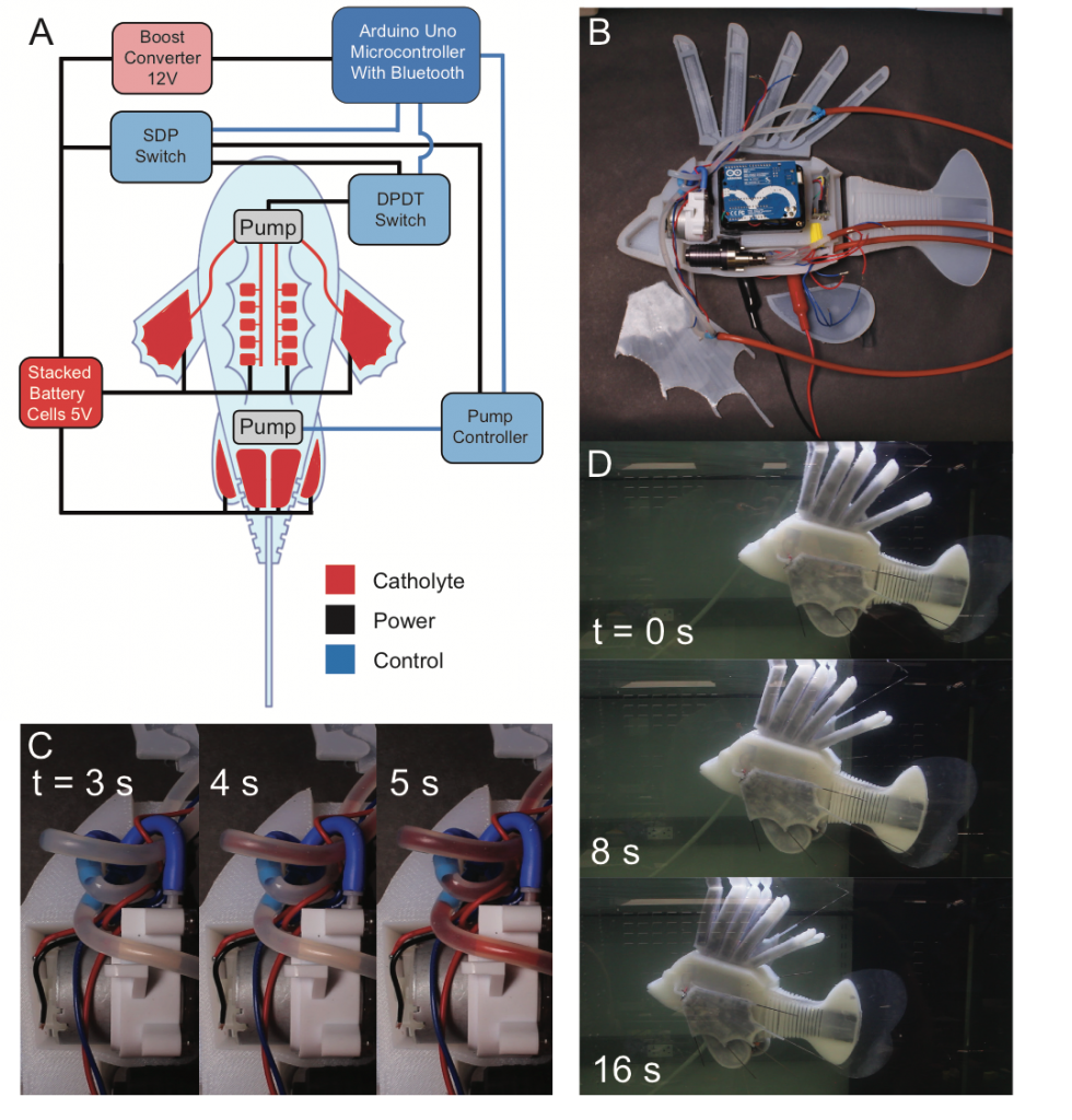 Synthetic circulatory systems