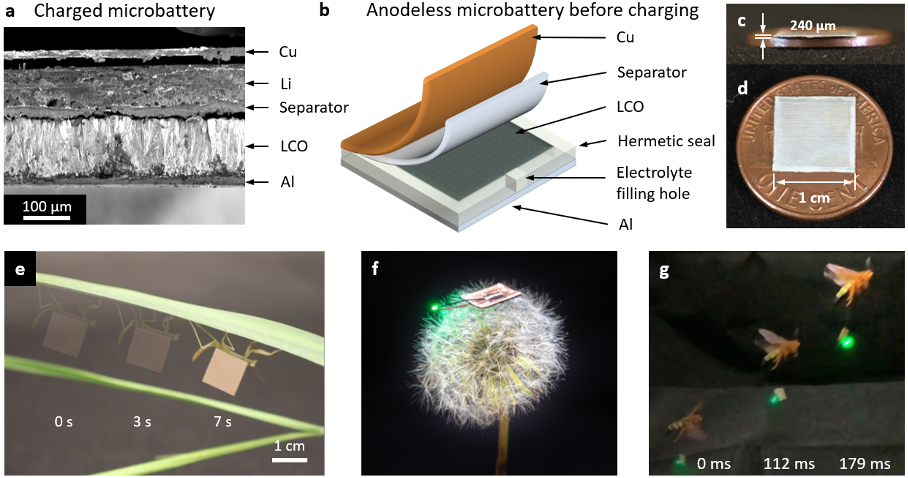 Microbatteries for microrobots
